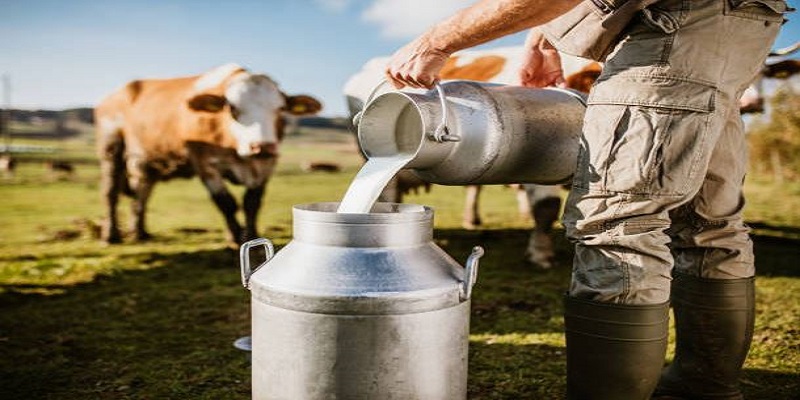 Benefits Of Drinking Raw milk Gives Healthy Nutrients For Human