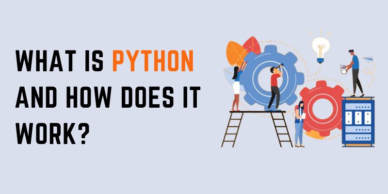 What is Python and How does it Work?